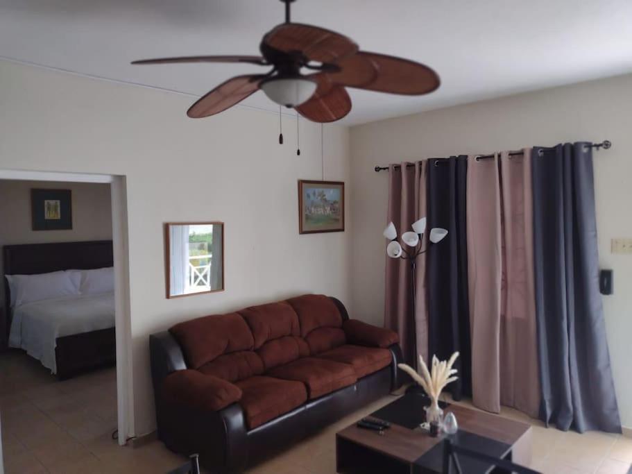 Club Caribbean Apartments Runaway Bay Eksteriør billede